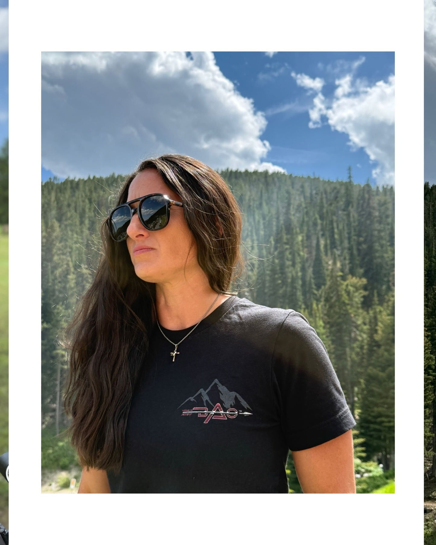"Man in the Arena" The Roosevelt T-Shirt