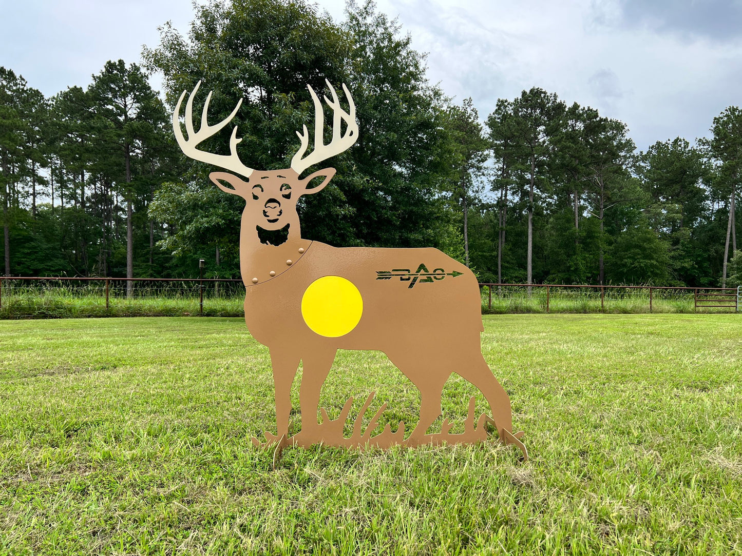Broken Arrow Buck
